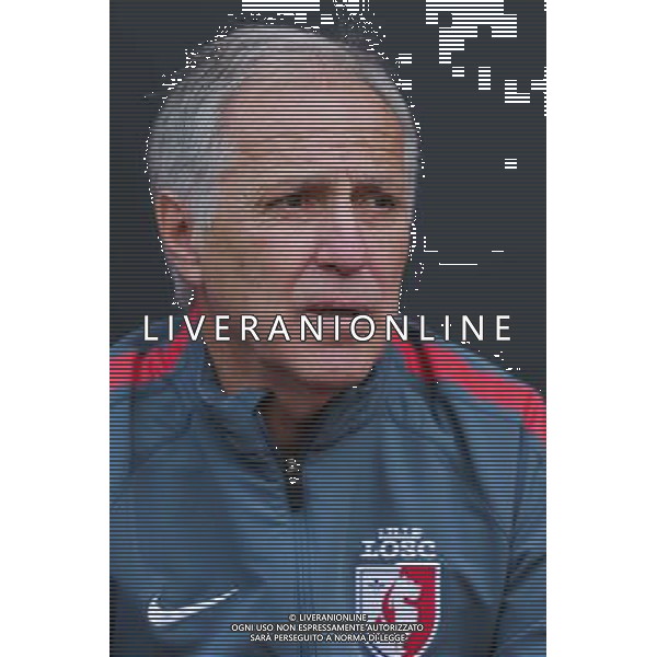 Rene GIRARD - 26.10.2014 - Rennes / Lille - 11eme journee de Ligue 1 - Photo : Vincent Michel / Icon Sport /Agenzia Aldo Liverani sas - ITALY ONLY - EDITORIAL USE ONLY