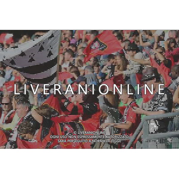 Supporters RENNES - 26.10.2014 - Rennes / Lille - 11eme journee de Ligue 1 - Photo : Vincent Michel / Icon Sport /Agenzia Aldo Liverani sas - ITALY ONLY - EDITORIAL USE ONLY