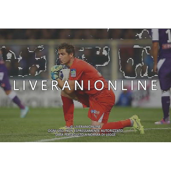 Cedric Carrasso - 28.10.2014 - Toulouse / Bordeaux - Coupe de la Ligue Photo : Manuel Blondeau / Icon Sport /Agenzia Aldo Liverani sas - ITALY ONLY - EDITORIAL USE ONLY