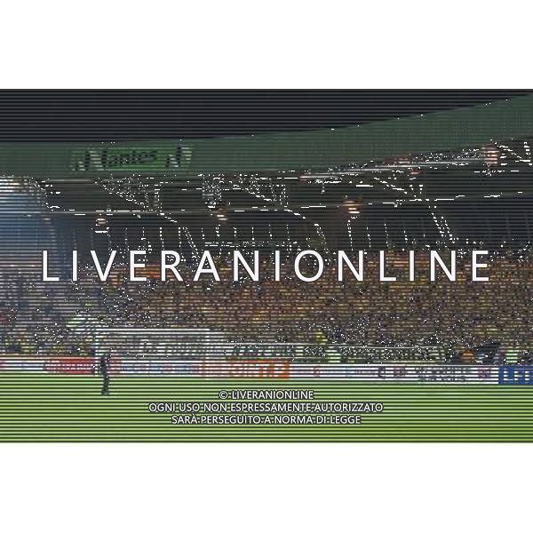 Supporters Nantes - 28.10.2014 - Nantes / Laval - Coupe de la Ligue - Photo : Vincent Michel / Icon Sport /Agenzia Aldo Liverani sas - ITALY ONLY - EDITORIAL USE ONLY