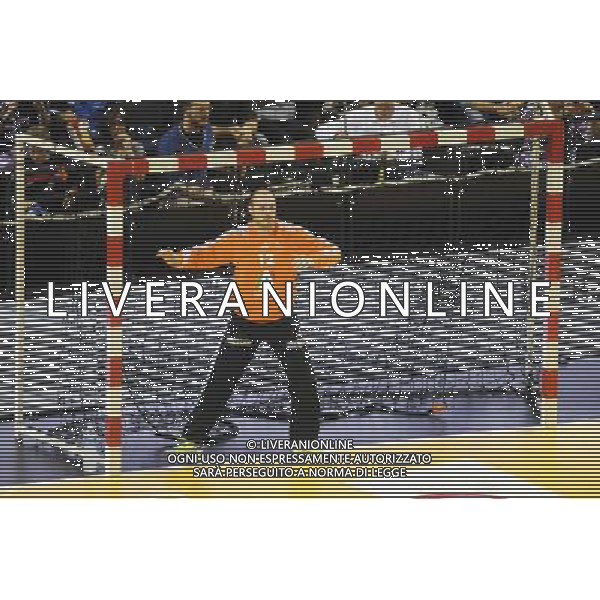 Vincent GERARD - 30.10.2014 - France / Republique Tcheque - Qualifications Championnat d\'Europe Photo : Jean Paul Thomas / Icon Sport /Agenzia Aldo Liverani sas - ITALY ONLY - EDITORIAL USE ONLY