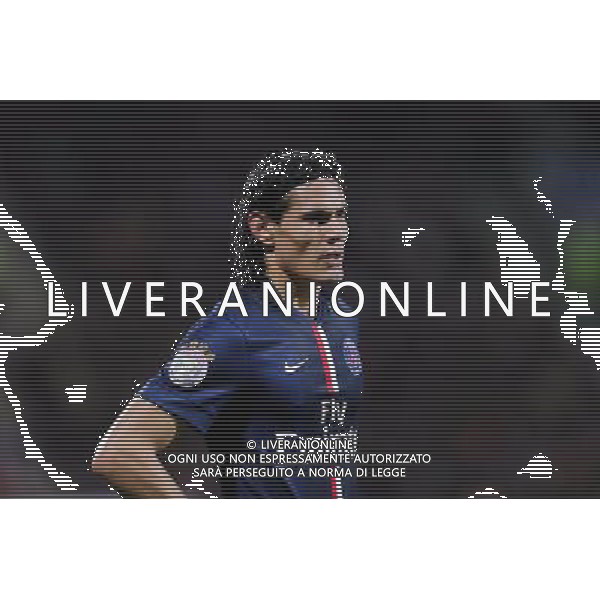 Edinson CAVANI - 01.11.2014 - Lorient / Paris Saint Germain - 12eme journee de Ligue 1 Photo : Vincent Michel / Icon Sport AG ALDO LIVERANI SAS ONLY ITALY