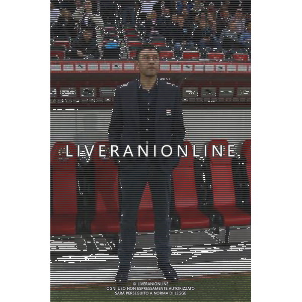 Hubert Fournier - 01.11.2014 - Nice / Lyon - 12eme journee de Ligue 1 Photo : Manuel Blondeau / Icon Sport AG ALDO LIVERANI SAS ONLY ITALY