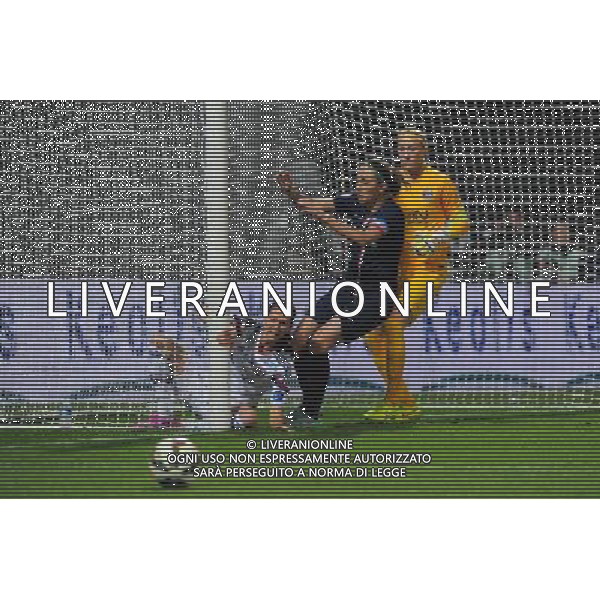 Lotta SCHELIN - 01.11.2014 - Lyon / Paris Saint Germain - 8eme journee de Division 1 Photo : Jean Paul Thomas / Icon Sport ag aldo liverani sas only italy