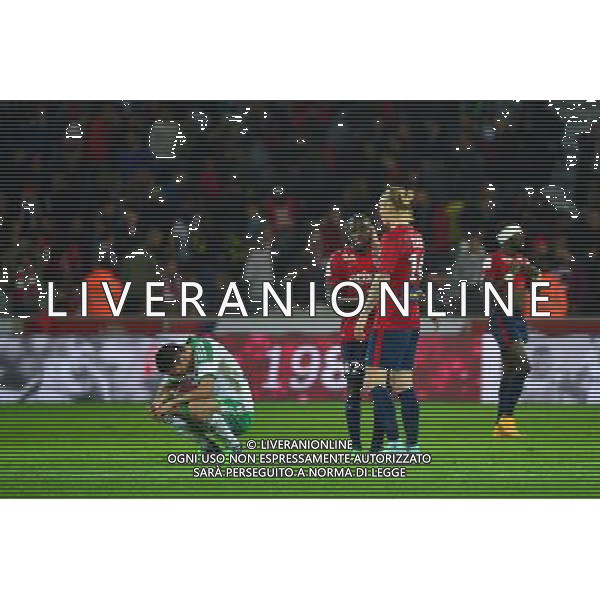 Deception Mevlut ERDING / deception Rio MAVUBA / Simon KJAER - 01.11.2014 - Lille / Saint Etienne - 12eme journee de Ligue 1 - Photo : Dave Winter / Icon Sport ag aldo liverani sas only italy