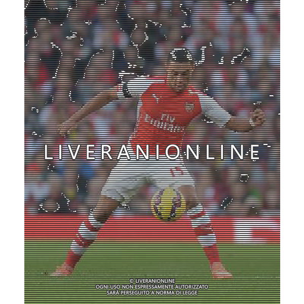 Arsenal\'s Alex Oxlade-Chamberlain in action during todays match Photographer Ian Cook/CameraSport Football - Barclays Premiership - Arsenal v Burnley - Saturday 1st November 2014 - Emirates Stadium - London © CameraSport - 43 Linden Ave. Countesthorpe. Leicester. England. LE8 5PG - Tel: +44 (0) 116 277 4147 - admin@camerasport.com - www.camerasport.com AG ALDO LIVERANI SAS ONLY ITALY