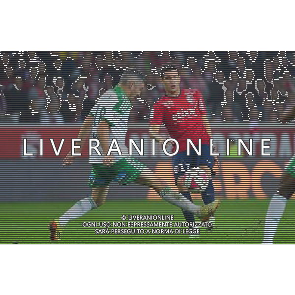Marco LOPES / Fabien LEMOINE - 01.11.2014 - Lille / Saint Etienne - 12eme journee de Ligue 1 - Photo : Dave Winter / Icon Sport AG ALDO LIVERANI SAS ONLY ITALY