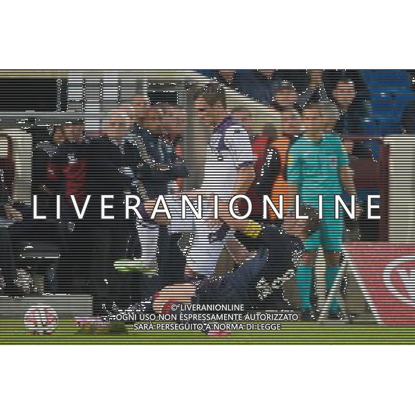 Gregory Sertic / Aleksandar PESIC - 02.11.2014 - Bordeaux / Toulouse - 12eme journee de Ligue 1 - Photo : Caroline Blumberg / Icon Sport AG ALDO LIVERANI SAS ONLY ITALY