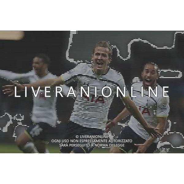 Tottenham Hotspur\'s Harry Kane celebrates the winning goal Photographer Kieran Galvin/CameraSport Football - Barclays Premiership - Aston Villa v Tottenham Hotspur - Sunday 2nd November 2014 - Villa Park - Birmingham å© CameraSport - 43 Linden Ave. Countesthorpe. Leicester. England. LE8 5PG - Tel: +44 (0) 116 277 4147 - admin@camerasport.com - www.camerasport.com /AGENZIA ALDO LIVERANI SAS - ITALY ONLY - EDITORIAL USE ONLY