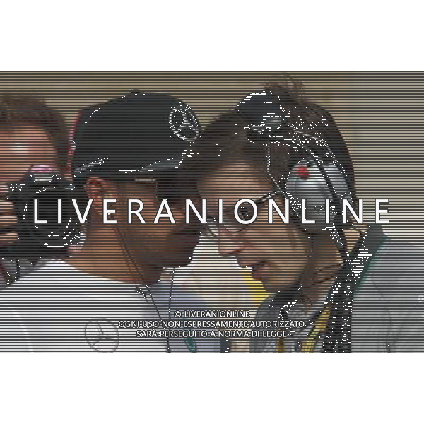 Lewis Hamilton (GBR) Mercedes AMG F1 on the grid. 02.11.2014. Formula 1 World Championship, Rd 17, United States Grand Prix, Austin, Texas, USA, Race Day. AG ALDO LIVERANI SAS ONLY ITALY