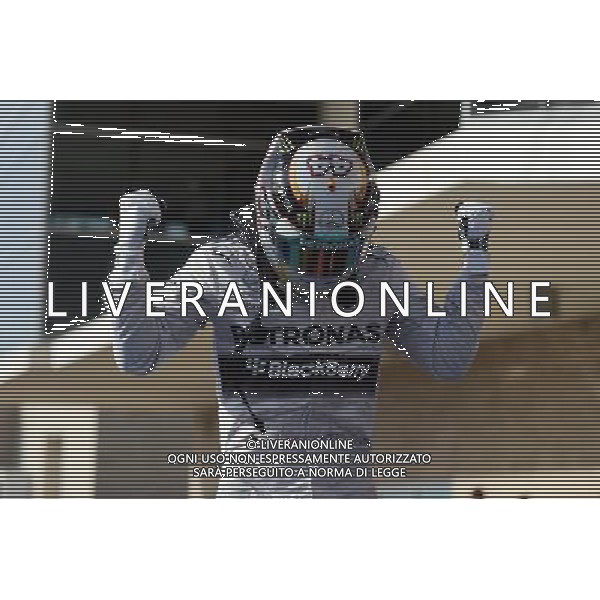 Race winner Lewis Hamilton (GBR) Mercedes AMG F1 celebrates in parc ferme. 02.11.2014. Formula 1 World Championship, Rd 17, United States Grand Prix, Austin, Texas, USA, Race Day. AG ALDO LIVERANI SAS ONLY ITALY