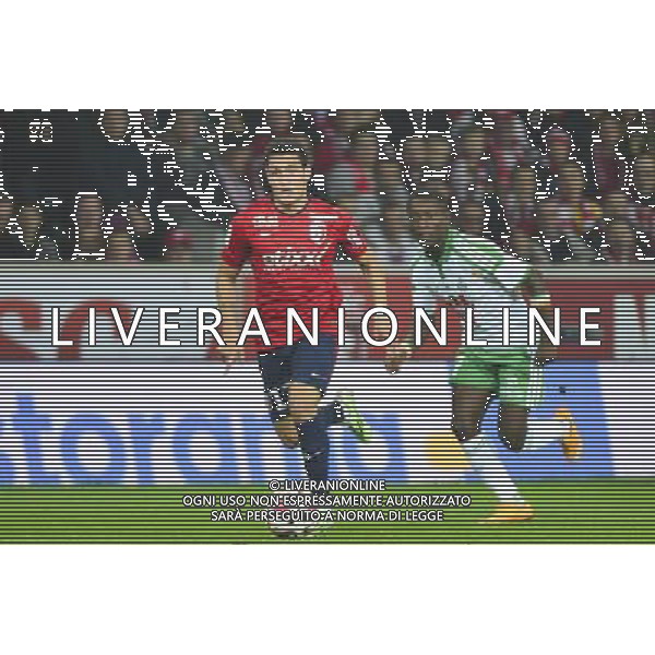 Marco LOPES - 01.11.2014 - Lille / Saint Etienne - 12eme journee Ligue 1 Photo : Dave Winter / Icon Sport AG ALDO LIVERANI SAS ONLY ITALY