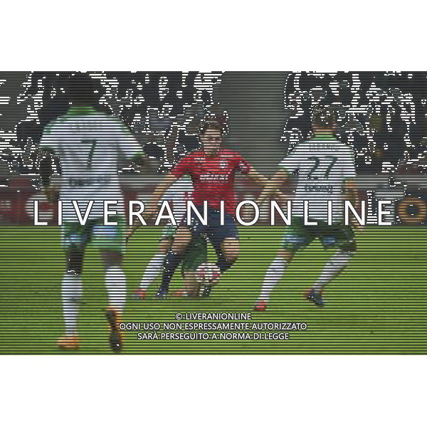 Michael FREY - 01.11.2014 - Lille / Saint Etienne - 12eme journee Ligue 1 Photo : Dave Winter / Icon Sport AG ALDO LIVERANI SAS ONLY ITALY