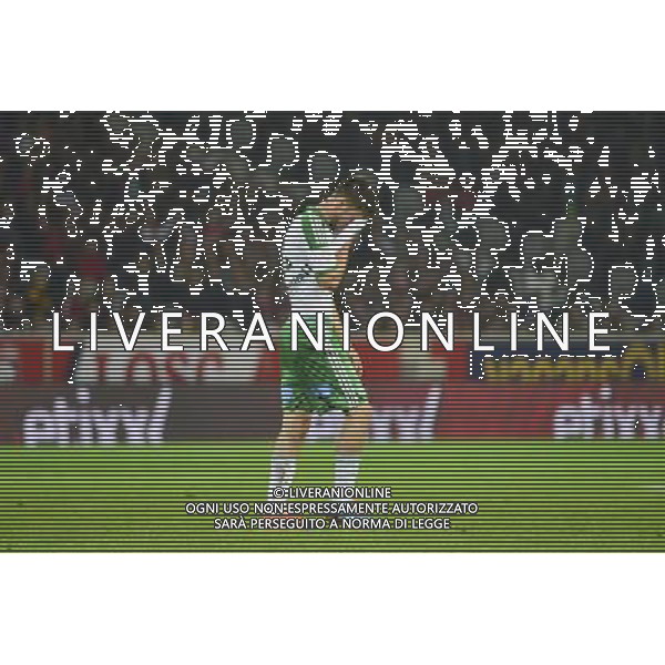 Ricky VAN WOLFSWINKEL - 01.11.2014 - Lille / Saint Etienne - 12eme journee Ligue 1 Photo : Dave Winter / Icon Sport AG ALDO LIVERANI SAS ONLY ITALY