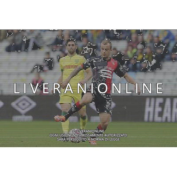 Kamil GROSICKI - 02.11.2014 - Nantes / Rennes - 12eme journee Ligue 1 Photo : Vincent Michel / Icon Sport AG ALDO LIVERANI SAS ONLY ITALY