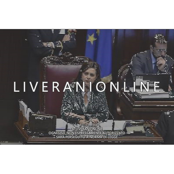 ROMA 05-11-2014 CAMERA DEI DEPUTATI-CONVERSIONE IN LEGGECON MODIFICAZIONE DEL DECRETO LEGGE 12 SETTEMBRE 2014 132 RECANTE MISURA URGENTE DEGIURISDIZIONALIZZAZIONE ED ALTRI INTERVENTI PER LA DEFINIZIONE DELL\'ARRETRATO IN MATERIA DEL PROCESSO CIVILE. NELLA FOTO BOLDRINI LAURA FOTO FAB CORRADETTI-AG ALDO LIVERANI SAS