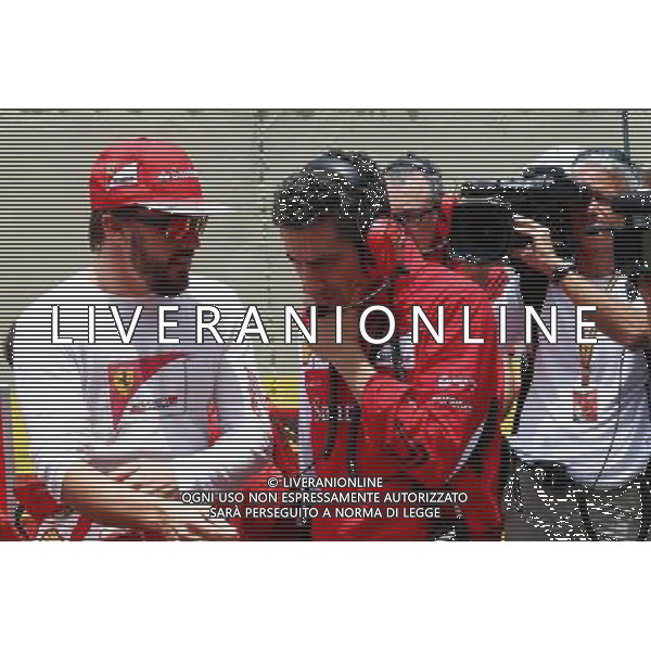 (L to R): Fernando Alonso (ESP) Ferrari with Andrea Stella (ITA) Ferrari Race Engineer on the grid. 09.11.2014. Formula 1 World Championship, Rd 18, Brazilian Grand Prix, Sao Paulo, Brazil, Race Day. - www.xpbimages.com, EMail: requests@xpbimages.com - copy of publication required for printed pictures. Every used picture is fee-liable. © Copyright: Batchelor / XPB Images /AGENZIA ALDO LIVERANI SAS - ITALY ONLY - EDITORIAL USE ONLY - Grand Prix Gp F1 Brasile gara