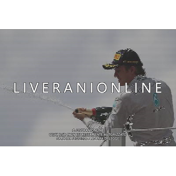 Nico Rosberg (GER), Mercedes AMG F1 Team 09.11.2014. Formula 1 World Championship, Rd 18, Brazilian Grand Prix, Sao Paulo, Brazil, Race Day. AG ALDO LIVERANI SAS ONLY ITALY