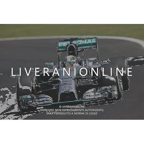 Lewis Hamilton (GBR) Mercedes AMG F1 W05. 09.11.2014. Formula 1 World Championship, Rd 18, Brazilian Grand Prix, Sao Paulo, Brazil, Race Day. AG ALDO LIVERANI SAS ONLY ITALY
