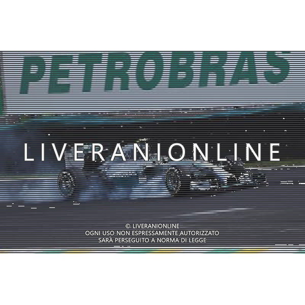 Nico Rosberg (GER) Mercedes AMG F1 W05 locks up under braking. 09.11.2014. Formula 1 World Championship, Rd 18, Brazilian Grand Prix, Sao Paulo, Brazil, Race Day. AG ALDO LIVERANI SAS ONLY ITALY