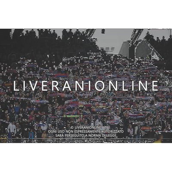 Supporters Lyon - 09.11.2014 - Lyon / Guingamp - 13eme journee de Ligue 1 - Photo : Jean Paul Thomas / Icon Sport /AGENZIA ALDO LIVERANI SAS - ITALY ONLY - EDITORIAL USE ONLY