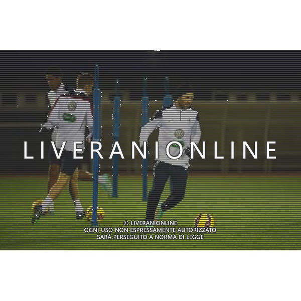 Yohan CABAYE - 10.11.2014 - Entrainement Equipe de France Photo : Dave Winter / Icon Sport /Agenzia Aldo Liverani sas - ITALY ONLY - EDITORIAL USE ONLY - CONFERENZA STAMPA E ALLENAMENTO DELLA NAZIONALE DELLA FRANCIA