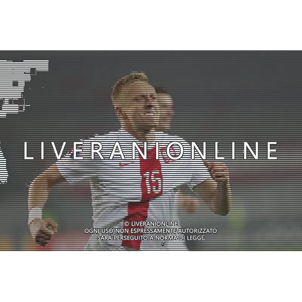 2014.11.14 TBILISI PILKA NOZNA KADRA REPREZENTACJA ELIMINACJE MISTRZOSTWA EUROPY EURO FRANCJA 2016 FOOTBALL UEFA EURO FRANCJE 2016 QUALIFICATION GRUZJA - POLSKA (GEORGIA VS. POLAND) N/Z BRAMKA GOL RADOSC 0-1 KAMIL GLIK FOTO SZYMON GORSKI / PRESSFOCUS/NEWSPIX.PL --- Newspix.pl /Agenzia Aldo Liverani sas - ITALY ONLY - EDITORIAL USE ONLY - Georgia - Polonia qualificazioni Europei UEFA del 2016 *** Local Caption *** www.newspix.pl mail us: info@newspix.pl call us: 0048 022 23 22 222 --- Polish Picture Agency by Ringier Axel Springer Poland