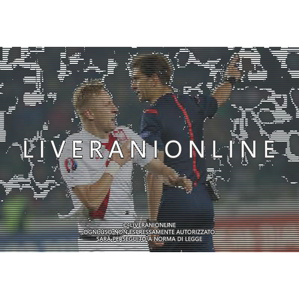 2014.11.14 TBILISI PILKA NOZNA KADRA REPREZENTACJA ELIMINACJE MISTRZOSTWA EUROPY EURO FRANCJA 2016 FOOTBALL UEFA EURO FRANCJE 2016 QUALIFICATION GRUZJA - POLSKA (GEORGIA VS. POLAND) N/Z BRAMKA GOL RADOSC 0-1 KAMIL GLIK FOTO SZYMON GORSKI / PRESSFOCUS/NEWSPIX.PL --- Newspix.pl /Agenzia Aldo Liverani sas - ITALY ONLY - EDITORIAL USE ONLY - Georgia - Polonia qualificazioni Europei UEFA del 2016 *** Local Caption *** www.newspix.pl mail us: info@newspix.pl call us: 0048 022 23 22 222 --- Polish Picture Agency by Ringier Axel Springer Poland