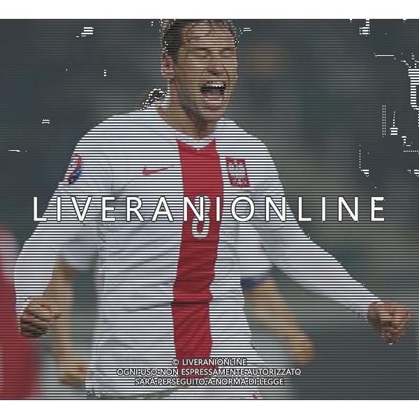 2014.11.14 TBILISI PILKA NOZNA KADRA REPREZENTACJA ELIMINACJE MISTRZOSTWA EUROPY EURO FRANCJA 2016 FOOTBALL UEFA EURO FRANCJE 2016 QUALIFICATION GRUZJA - POLSKA (GEORGIA VS. POLAND) N/Z BRAMKA GOL RADOSC 0-2 GRZEGORZ KRYCHOWIAK FOTO SZYMON GORSKI / PRESSFOCUS/NEWSPIX.PL --- Newspix.pl /Agenzia Aldo Liverani sas - ITALY ONLY - EDITORIAL USE ONLY - Georgia - Polonia qualificazioni Europei UEFA del 2016 *** Local Caption *** www.newspix.pl mail us: info@newspix.pl call us: 0048 022 23 22 222 --- Polish Picture Agency by Ringier Axel Springer Poland