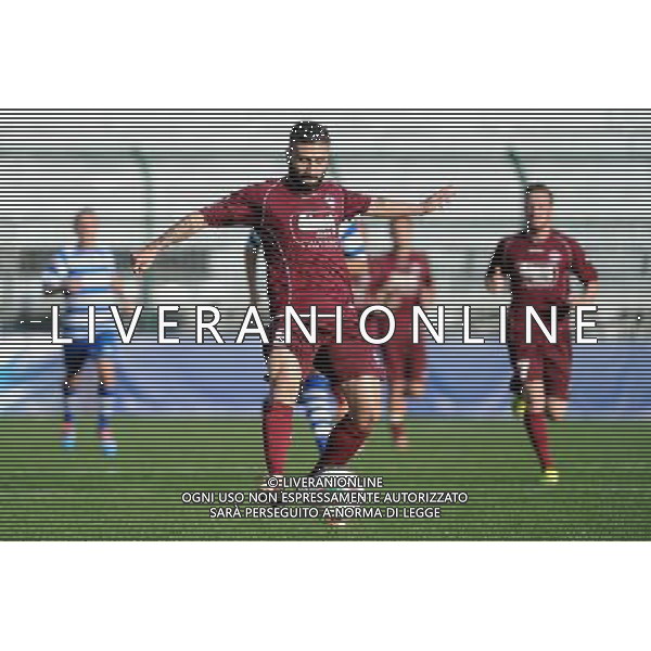 Busto Arsizio (VA) 16-11-2014 Stadio Carlo Speroni Campionato Lega PRO girone A - 13¡ giornata Pro Patria vs Arezzo nella foto Francesco Dettori (Arezzo) foto Roberto Garavaglia - ag. Aldo Liverani sas