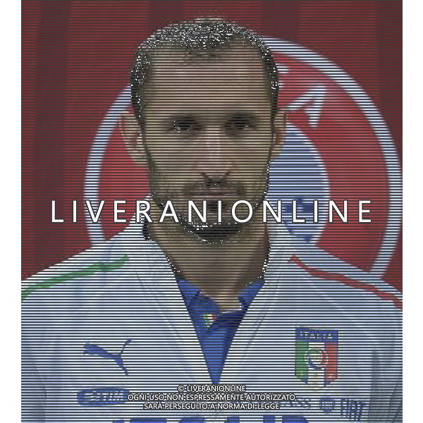 Qualificazioni ai Campionati Europei di Calcio UEFA Francia 2016 Gruppo H Milano - 16.11.2014 Italia-Croazia Nella Foto:Chiellini Giorgio /Ph.Vitez-Ag. Aldo Liverani