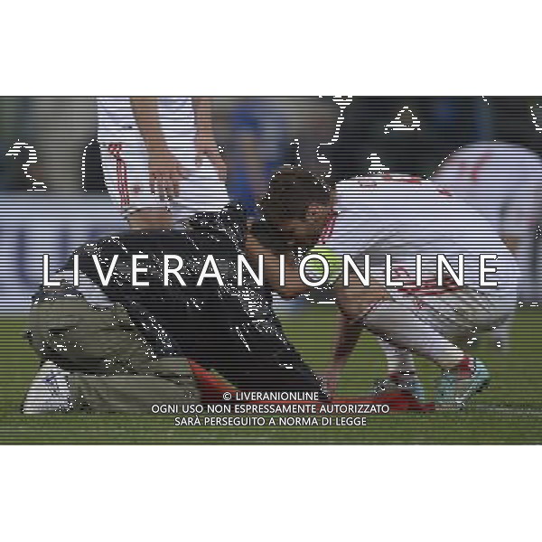 Amichevole Genova - 18.11.2014 Italia-Albania Nella Foto:prima invasione di campo un tifosi albanese fa firmare la propria bandiera a cana /Ph.Vitez-Ag. Aldo Liverani