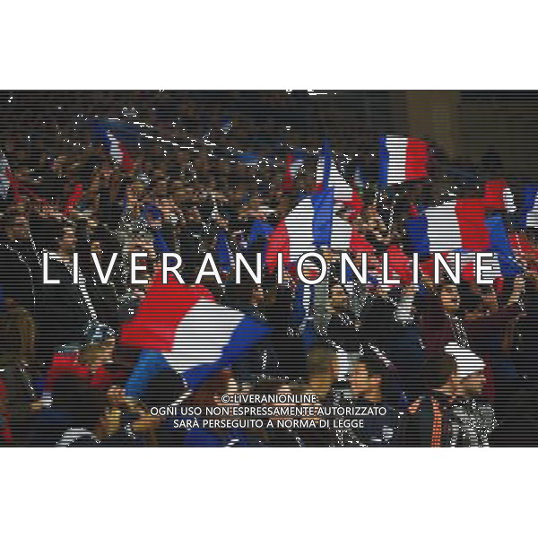 Supporters France - 18.11.2014 - France / Suede - Match Amical -Marseille Photo : Dave Winter / Icon Sport AG ALDO LIVERANI SAS ONLY ITALY