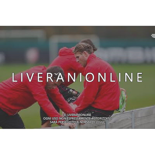 Ola Toivonen - 19.11.2014 - Reprise entrainement Rennes - Ligue 1 Photo : Vincent Michel / Icon Sport /Agenzia Aldo Liverani sas - ITALY ONLY - EDITORIAL USE ONLY