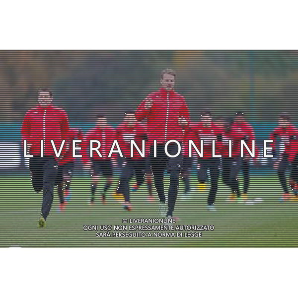 Ola Toivonen - 19.11.2014 - Reprise entrainement Rennes - Ligue 1 Photo : Vincent Michel / Icon Sport /Agenzia Aldo Liverani sas - ITALY ONLY - EDITORIAL USE ONLY