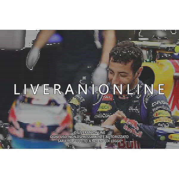 Daniel Ricciardo (AUS) Red Bull Racing RB10. 21.11.2014. Formula 1 World Championship, Rd 19, Abu Dhabi Grand Prix, Yas Marina Circuit, Abu Dhabi, Practice Day. AG ALDO LIVERANI SAS ONLY ITALY