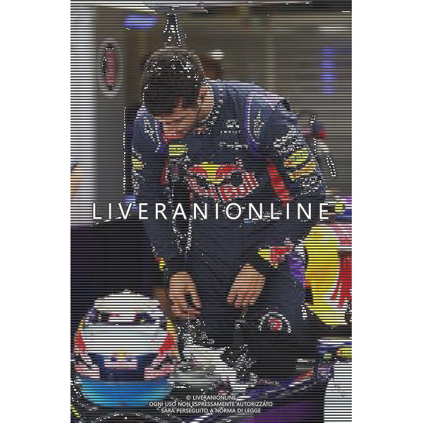 Daniel Ricciardo (AUS) Red Bull Racing RB10. 21.11.2014. Formula 1 World Championship, Rd 19, Abu Dhabi Grand Prix, Yas Marina Circuit, Abu Dhabi, Practice Day. AG ALDO LIVERANI SAS ONLY ITALY