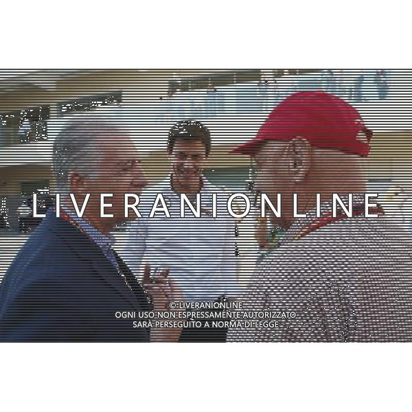 (L to R): Piero Ferrari (ITA) Ferrari Vice-President with Toto Wolff (GER) Mercedes AMG F1 Shareholder and Executive Director and Niki Lauda (AUT) Mercedes Non-Executive Chairman. 21.11.2014. Formula 1 World Championship, Rd 19, Abu Dhabi Grand Prix, Yas Marina Circuit, Abu Dhabi, Practice Day. AG ALDO LIVERANI SAS ONLY ITALY