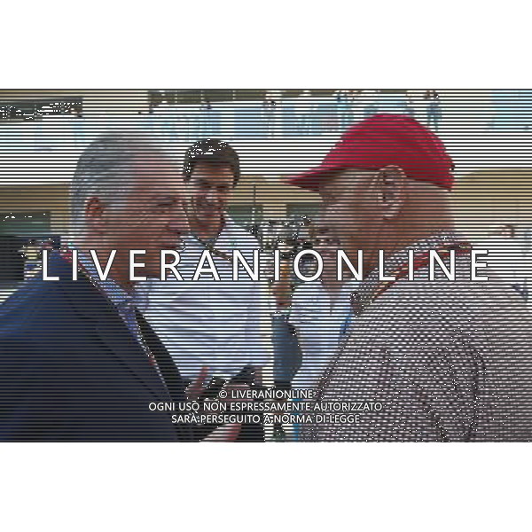 (L to R): Piero Ferrari (ITA) Ferrari Vice-President with Toto Wolff (GER) Mercedes AMG F1 Shareholder and Executive Director; Susie Wolff (GBR) Williams Development Driver and Niki Lauda (AUT) Mercedes Non-Executive Chairman. 21.11.2014. Formula 1 World Championship, Rd 19, Abu Dhabi Grand Prix, Yas Marina Circuit, Abu Dhabi, Practice Day. AG ALDO LIVERANI SAS ONLY ITALY