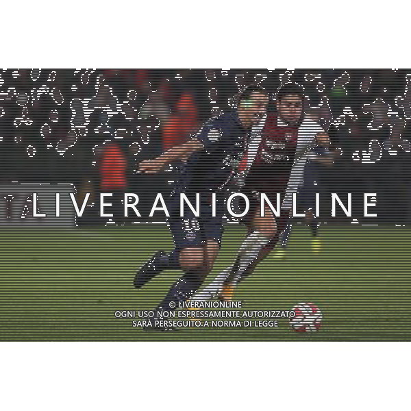 Zlatan IBRAHIMOVIC / Jose luis PALOMINO - 21.11.2014 - Metz / Paris Saint Germain - 14eme journee de Ligue 1 Photo : Fred Marvaux / Icon Sport AG ALDO LIVERANI SAS ONLY ITALY