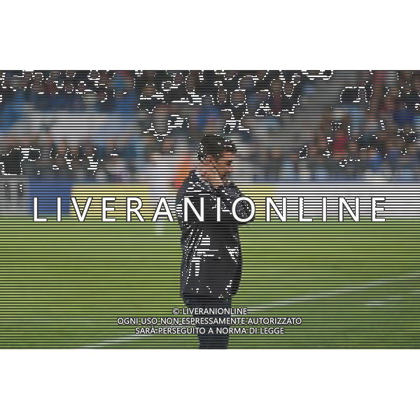 Hubert FOURNIER - 22.11.2014 - Bastia / Lyon - 14eme journee de Ligue 1 - Photo : Michel Maestracci/ Icon Sport AG ALDO LIVERANI SAS ONLY ITALY
