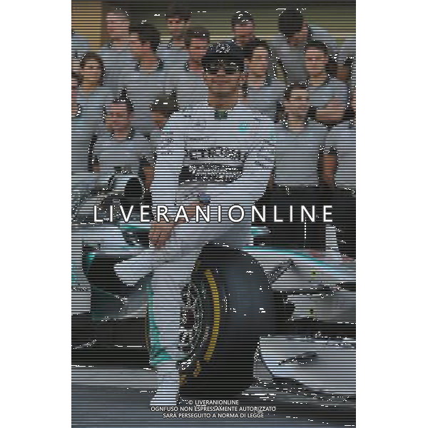 Lewis Hamilton (GBR) Mercedes AMG F1 at a team photograph. 23.11.2014. Formula 1 World Championship, Rd 19, Abu Dhabi Grand Prix, Yas Marina Circuit, Abu Dhabi, Race Day. AG ALDO LIVERANI SAS ONLY ITALY
