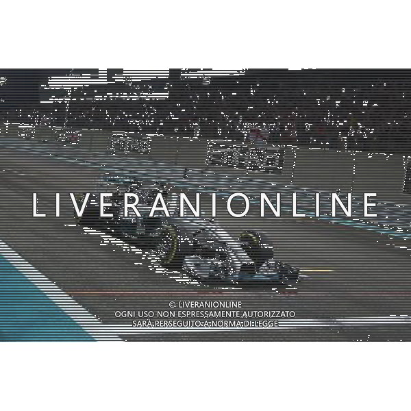 1st place and World Champion Lewis Hamilton (GBR) Mercedes AMG F1 W05. 23.11.2014. Formula 1 World Championship, Rd 19, Abu Dhabi Grand Prix, Yas Marina Circuit, Abu Dhabi, Race Day. AG ALDO LIVERANI SAS ONLY ITALY