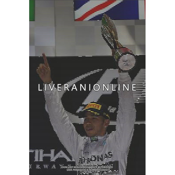 1st place and World Champion Lewis Hamilton (GBR) Mercedes AMG F1 W05. 23.11.2014. Formula 1 World Championship, Rd 19, Abu Dhabi Grand Prix, Yas Marina Circuit, Abu Dhabi, Race Day. AG ALDO LIVERANI SAS ONLY ITALY
