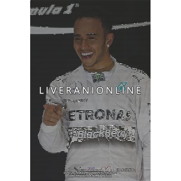 1st place and World Champion Lewis Hamilton (GBR) Mercedes AMG F1 W05. 23.11.2014. Formula 1 World Championship, Rd 19, Abu Dhabi Grand Prix, Yas Marina Circuit, Abu Dhabi, Race Day. AG ALDO LIVERANI SAS ONLY ITALY