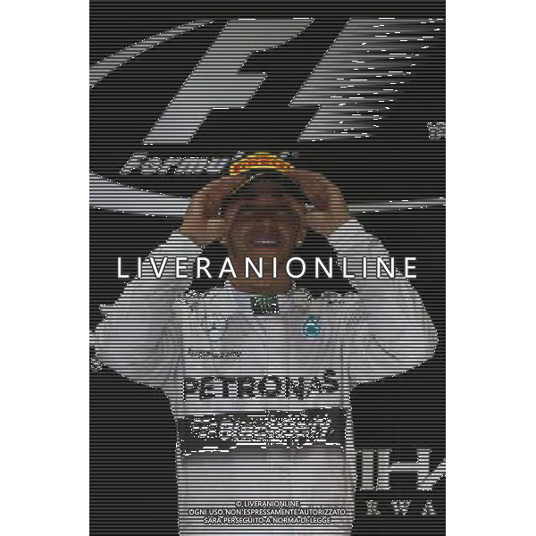 1st place and World Champion Lewis Hamilton (GBR) Mercedes AMG F1 W05. 23.11.2014. Formula 1 World Championship, Rd 19, Abu Dhabi Grand Prix, Yas Marina Circuit, Abu Dhabi, Race Day. AG ALDO LIVERANI SAS ONLY ITALY