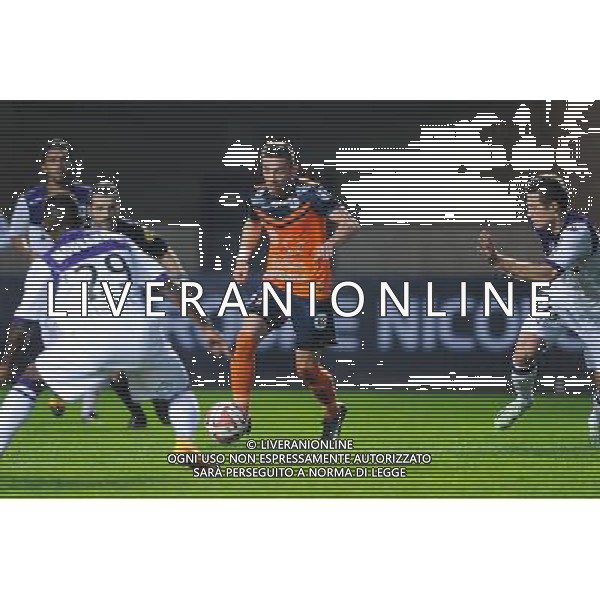 Anthony MOUNIER - 23.11.2014 - Montpellier / Toulouse - 14eme journee de Ligue 1 Photo : Jean Paul Thomas / Icon Sport /AGENZIA ALDO LIVERANI SAS - ITALY ONLY - EDITORIAL USE ONLY