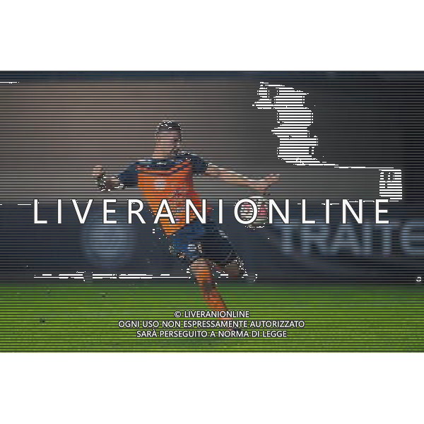 Goal Anthony MOUNIER - 23.11.2014 - Montpellier / Toulouse - 14eme journee de Ligue 1 Photo : Jean Paul Thomas / Icon Sport /AGENZIA ALDO LIVERANI SAS - ITALY ONLY - EDITORIAL USE ONLY