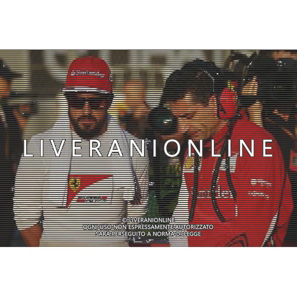 (L to R): Fernando Alonso (ESP) Ferrari with Andrea Stella (ITA) Ferrari Race Engineer on the grid. 23.11.2014. Formula 1 World Championship, Rd 19, Abu Dhabi Grand Prix, Yas Marina Circuit, Abu Dhabi, Race Day. AG ALDO LIVERANI SAS ONLY ITALY