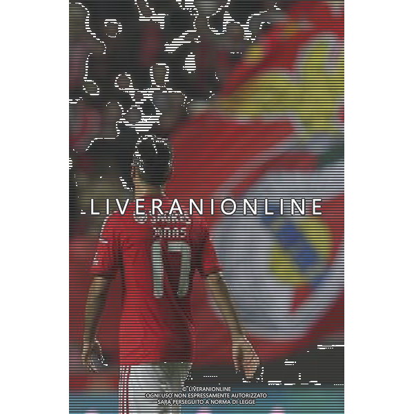 Jonas - 22.11.2014 - Benfica / Moreirense - Coupe du Portugal- Photo : Carlos Rodrigues / Icon Sport ag aldo liverani sas only italy